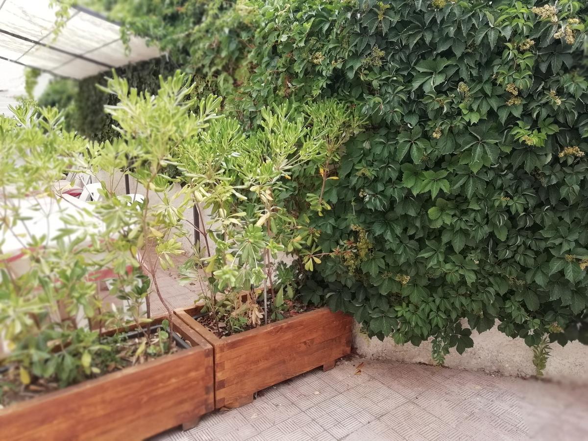 Hotel Noto Marina Stella Marina - B&B Lido di Noto Екстериор снимка